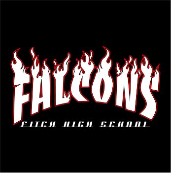 fitch falcons